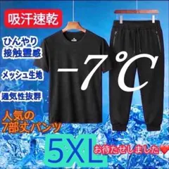 冷感　Tシャツ　ジョガーパンツ　メンズ　レディース　セットアップ 5XL 避難のサムネイル