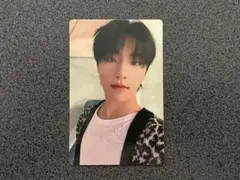SEVENTEEN ディノ トレカ Attacca