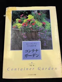 Item thumbnail for item 953dd593-0a30-4007-bb11-dcffcd1c23a1