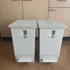 【2個】リス HOME & HOME 棚下で使える ペダルダストボックス 45Lのサムネイル