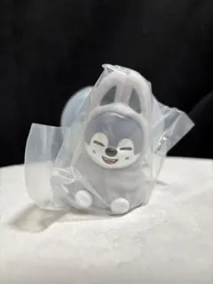 ウルフチャン　スキズ SKZOO スキズー ライトマスコット バンチャン