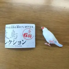 2025年最新】文鳥、の人気アイテム - メルカリ