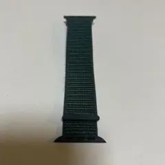 Apple Watch用　スポーツループ　レイクグリーン　46mm