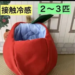 モモンガ　果物ポーチ　夏用　接触冷感ブランケット付き 2026年最新】フクロモモンガ ポーチ 夏の人気アイテム - メルカリ