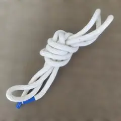 Item thumbnail for item a13c9372-9ade-4322-a70c-f798c76920ec