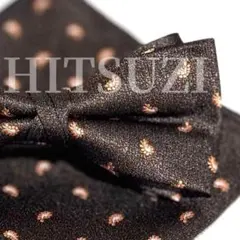 ○蝶ネクタイ　ブラウン　メンズ小物結婚式新郎新婦スーツタキシード Gse