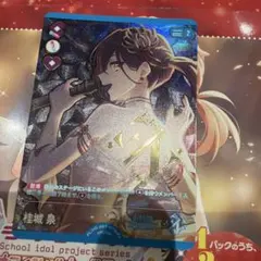 ラブカ 桂城泉(P、P+、PE+) 3枚セット - メルカリ