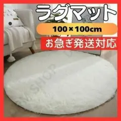 Item thumbnail for item c3208f60-91ec-4703-9a49-357b827b5fcf