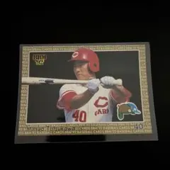 達川光男　1988 カルビー　野球カード 2026年最新】Yahoo!オークション -達川(カルビー)の中古品・新品・未