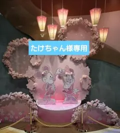 たけちゃん様専用です