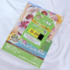 ホームタウンドルパ京都21 公式ガイドブック グループA 冊子諸々丸ごと