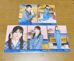 乃木坂46 生写真 5種コンプ14th アニバ 座り レアポ 伊藤理々杏のサムネイル