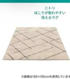 ほこりが取れやすい洗えるラグ(タフトラグ BE SR003)のサムネイル