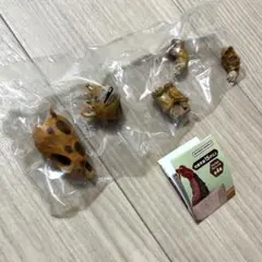 【新品未開封品】はしもとみおのウルトラ怪獣彫ってみた。03 快獣ブースカ