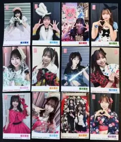 橋本陽菜 AKB48 ガラポン 生写真 全12種 [T8HHg12a]