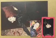 SEVENTEEN シーグリ ホシ