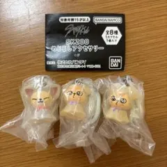 Stray Kids SKZOO めじるしアクセサリー 2種(3個セット)