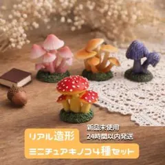 ミニチュアキノコ4種セット