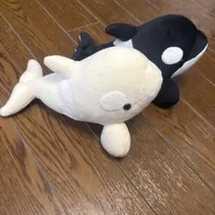 名古屋港水族館 シャチ くじ アルビノ - メルカリ