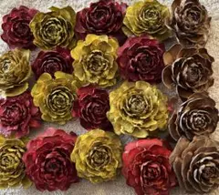 松ぼっくり、松かさ、シダーローズ　木の実セット まあちゃん様　　専用