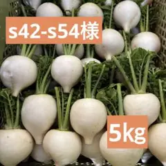 s42-s54様専用★辛味大根『辛之助』 M5㎏