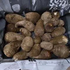 くろりん☆彡 様専用