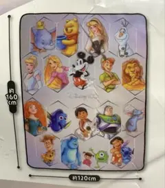 ディズニー100 ビッグふわふわブランケット