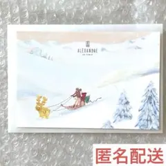 非売品　ALEXANDRE DE PARIS メッセージカード　サンタ　手紙