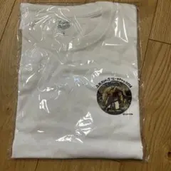 CAPCOM キャラクターTシャツ Lサイズ ホワイト