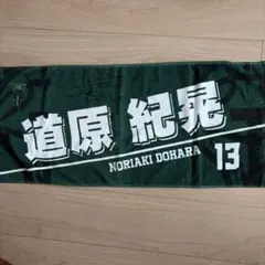 甲子園タオル 石浦瞬大 センバツ 選抜 近江高校 非売品 レア - メルカリ