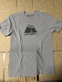 【美品】 patagonia LIVE SIMPLY Tシャツ M グレー