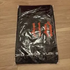 新品・未開封】HANA ロゴTシャツ Lサイズ ノーノーガールズ ちゃんみな