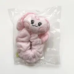 RIIZE ショウタロウ リズコ シュシュ - メルカリ