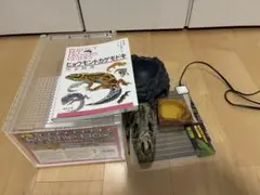 2026年最新】レプタイルボックスの人気アイテム - メルカリ