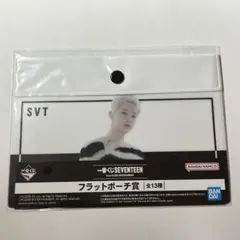 ホシ フラットポーチ