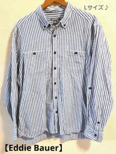 【Eddie Bauer】エディーバウアー ストライプシャツ L ボタンダウン