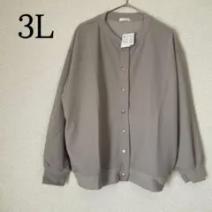 長袖 ジャケット ブルゾン 大きいサイズ 3L ストレッチ 羽織 MA1 トープ