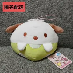 ① ポチャッコ 산리오 ぬいぐるみ 新品 미사용