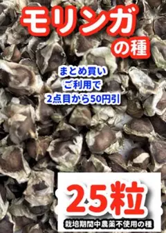 モリンガの種【25粒】⭕️のサムネイル