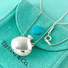 d263 美品 ティファニー プラチナ ティアドロップ ネックレス PT950 