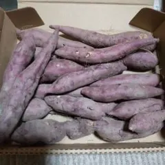 徳島県鳴門金時 さつまいも 箱込み約1キロ 大きさ 不揃い 小さめのサムネイル