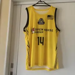 Item thumbnail for item 705fd65a-65e6-4af7-ad7e-9a120099658a