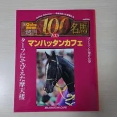 2026年最新】週刊100名馬の人気アイテム - メルカリ