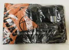 Item thumbnail for item f64a6a98-7d5f-425d-852c-5bd5e59f9902