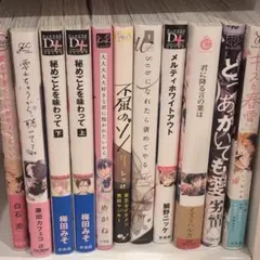 BL小説 7冊 まとめ売り/バラ売り 2冊〜 - メルカリ