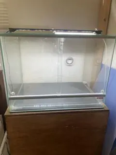 EHEIM レプタイルケージRC-6045(60×45×45cm) 植物　アグラ EHEIM レプタイルケージRC-6045(60×45×45cm) 植物 アグラ - メルカリ