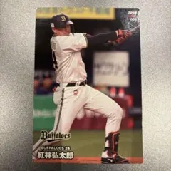 Item thumbnail for item 2339476f-2ba1-451b-bb1f-9e96acb1ea41