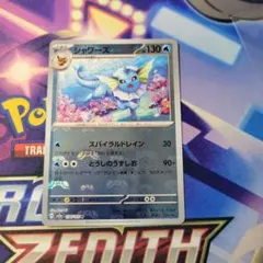 ポケモンカード 夏ポケカ 封筒 台紙 シャワーズ サンダース ブースター