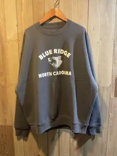 Item thumbnail for item 3de29516-6c99-4b9a-8b10-de361e5bf96d