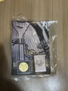 東京ヤクルトスワローズ2021年日本一記念メダル&オリジナルクリップ+ガイド本